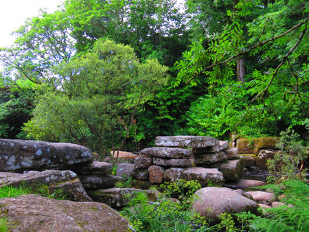 Dartmoor National Park