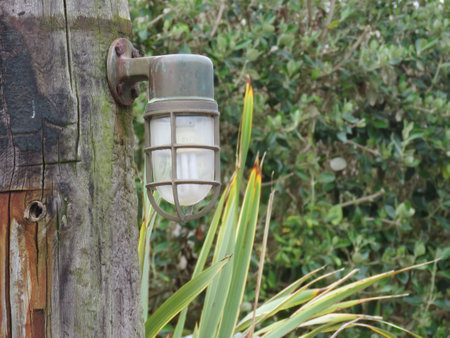 Dawlish Warren Nature Reserveの写真素材