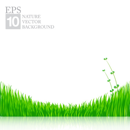 Nature background with green grass のイラスト素材