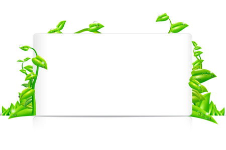 Vector EPS10 Isolated Eco text boxのイラスト素材