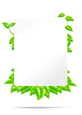 Vector EPS10 Isolated Eco text boxのイラスト素材
