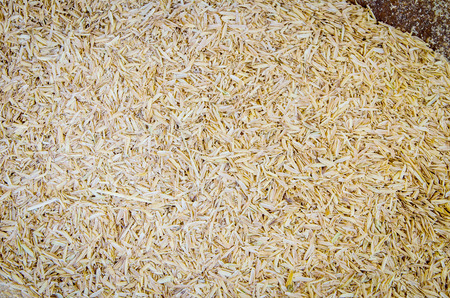 Husk of rice, Tropical natureの写真素材