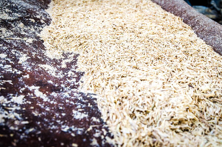 Husk of rice, Tropical natureの写真素材