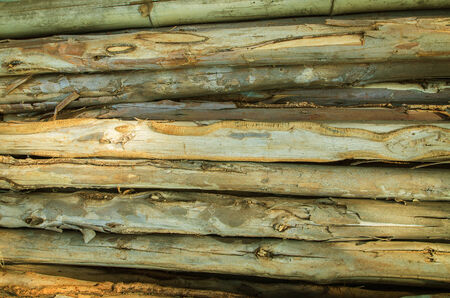 Wooden Stackの写真素材