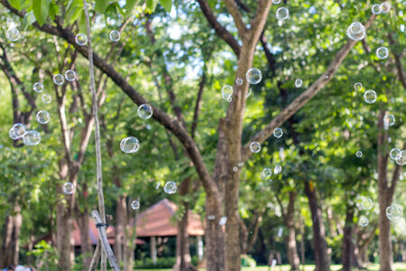 Bubble in garden backgroundの写真素材