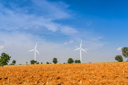 Electrical Eco power maker wind turbine in cassava farm - Huay bong, Dan Khun Tod, Nakhon Ratchasima, Thailandの写真素材