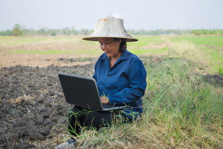 Asian Thai farmer using laptop computer in the rice fieldの写真素材
