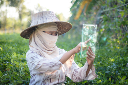 Farmer using clear tablet with HUD head up display interface for technology futuristic conceptの写真素材