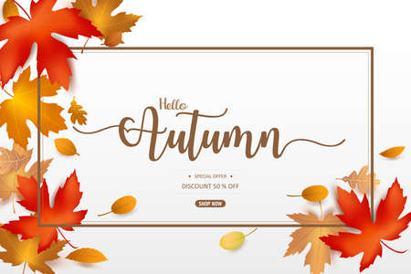 Hello Autumn word and autumn dry leaf falling on a white background, dry of maple leaf, for autumn design element, vector illustrationのイラスト素材