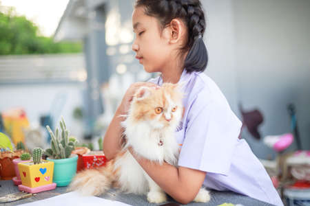 Portrait of a Little Asian girl in Thai student uniform is hugging her Persian cat with happiness, select focus shallow depth of fieldの写真素材