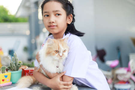 Portrait of a Little Asian girl in Thai student uniform is hugging her Persian cat with happiness, select focus shallow depth of fieldの写真素材