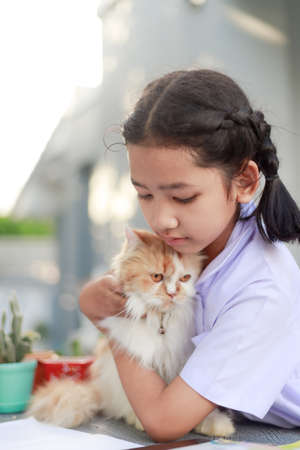 Portrait of a Little Asian girl in Thai student uniform is hugging her Persian cat with happiness, select focus shallow depth of fieldの写真素材