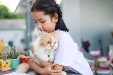 Portrait of a Little Asian girl in Thai student uniform is hugging her Persian cat with happiness, select focus shallow depth of fieldの写真素材