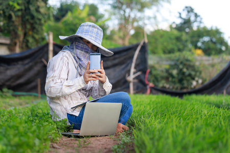 Thai farmer using a smartphone to take a photo selfie in the morning glory vegetable farm, for the organic and smart farming concept, select focus shallow depth of fieldの写真素材