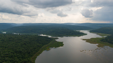 Drone shot. Aerial view scenic landscape of a large river delta amid a lush forest at the tropical Asia placeの写真素材