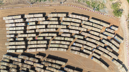 Drone shot aerial view of high angle view of a lot of sugarcane trucks queuing up