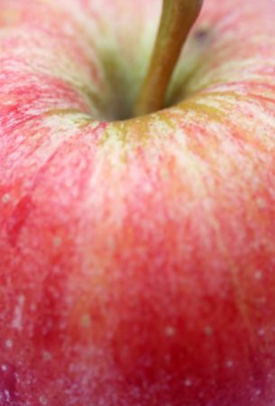 detail of a red appleの写真素材