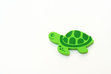 green turtle isolated on a white backgroundの写真素材