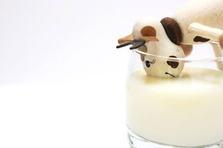 cow wants her milk back it's too goodの写真素材