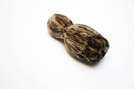 green tea flower bud -globe amaranthe and chrysanthemumの写真素材