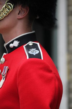 detail of a Grenadier Guard's uniformの写真素材