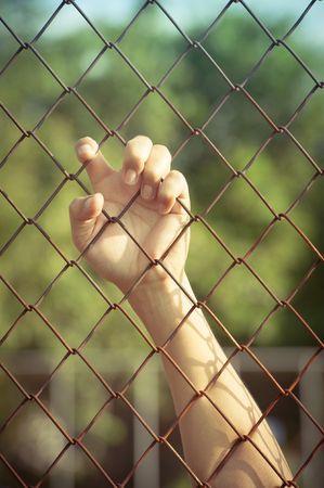 hand in jail.の写真素材