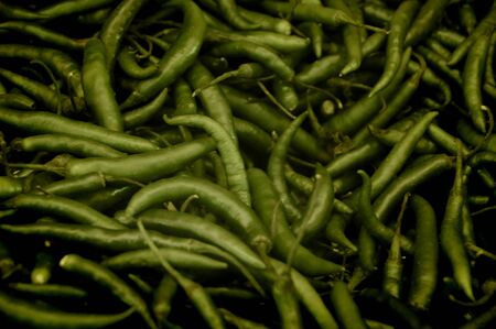 Green hot mexican peppers                の写真素材