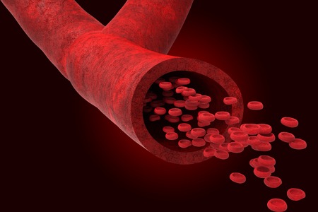 Blood vessel with bloodcells flowing throughの写真素材