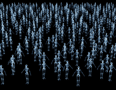 lot of skeletons isolated on blackの写真素材