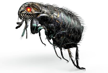 digital safety concept electronic computer bug isolated, 3D illustrationの写真素材