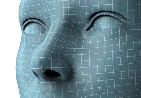 woman face in wireframe lines isolated on white, 3D illustrationの写真素材