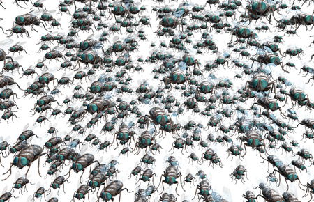 housefly, insect isolated on white 3D illustration.の写真素材