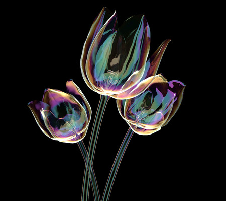 color glass flower isolated on black, the tulip 3d illustrationの写真素材