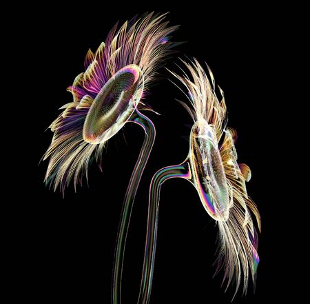 color glass flower isolated on black, the sunflower  3d illustrationの写真素材