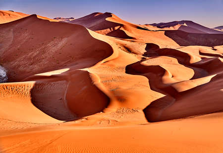 desert of namib with orange sand dunes.の写真素材