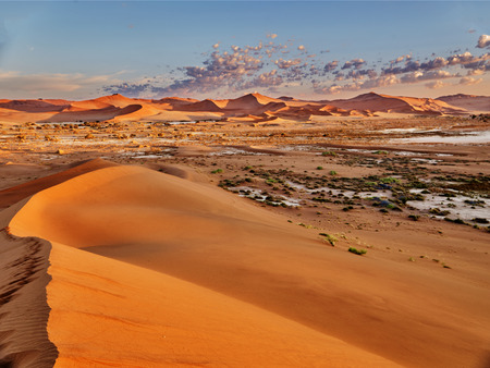 desert of namib with orange sand dunes.の写真素材