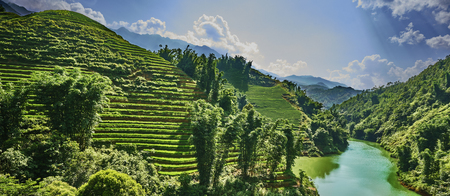 green rice fields in the mountains of vietnam