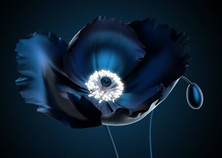 poppy with radiate stamen that illuminate the flower, 3d illustrationの写真素材