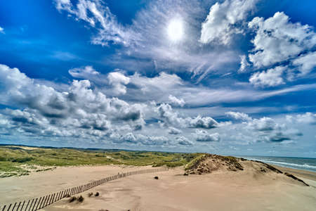 Dutch dunes, grown with Beach Grass, taken with a wide angle on a sunny cloudy day.の写真素材