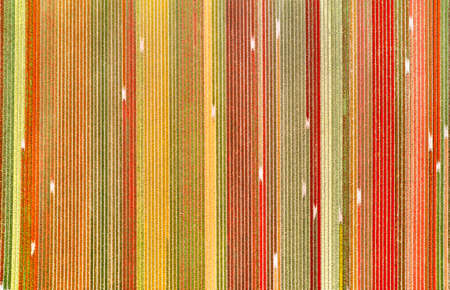 Flower fields in the Netherlands seen from above.の写真素材