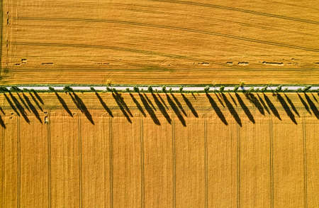 Wheat fields in Germany, aerial photography with mountains in the background.の写真素材
