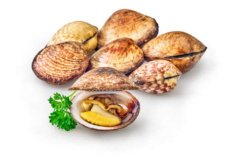 open and closed clams with shellfish isolated on white background.