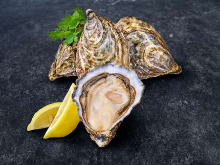 Open fresh raw oyster clams isolated and ready to eat.