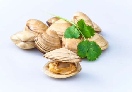 open and closed clams with shellfish isolated on white background.の写真素材