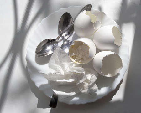 shells of boiled eggs with the remains of yolk and boiled egg white, used paper napkin, teaspoons,...