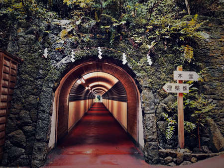 Tunnel leading to a Japanese shrine in Japanの写真素材