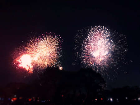Fireworks lighting up the night over a Japanese parkの写真素材