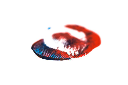 Blue and Red Colored Fingerprint on White Background