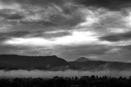 Forest Fog Mountain and Sky