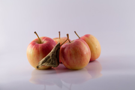 appleの写真素材